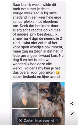 Vorher-/Nachher-Bilder der 3 Marken