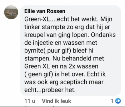 Green-XL-Set gegen Milben