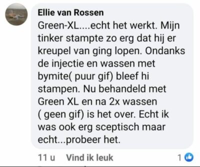 Green-XL verzorgingsset bij luisgevoelige paarden