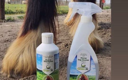 De sokken van paarden scheren of niet?