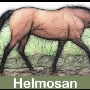 Merk Helmosan