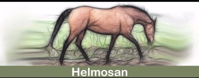 Marke Helmosan