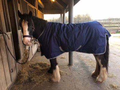 It's winter blanket on or off?