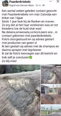 Vorher-/Nachher-Bilder der 3 Marken