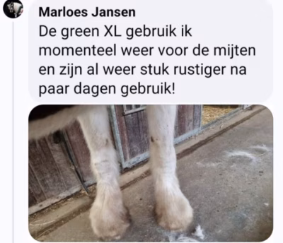 Vorher-/Nachher-Bilder der 3 Marken