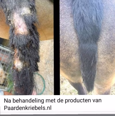 Helmosan huidgel voor eczeemgevoelige paardenmanen