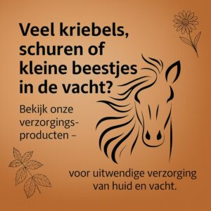 Verzorging bij beestjes in de vacht