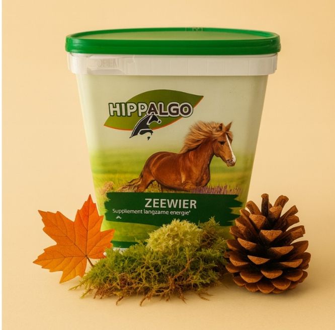 Hippalgo Seaweed 3kg