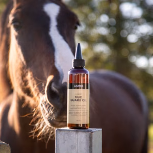 Laveos Mud Guard Oil