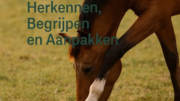 Verzorgingsadvies bij Mijtgevoelige Paarden