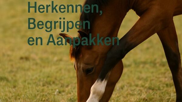 Verzorgingsadvies bij Mijtgevoelige Paarden