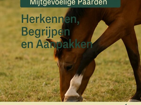 Verzorgingsadvies bij Mijtgevoelige Paarden